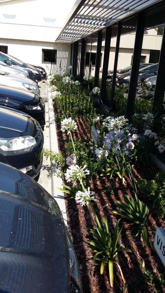 Paysagiste pour aménagements de massifs de fleurs devant les bureaux d'une société proche de Bordeaux