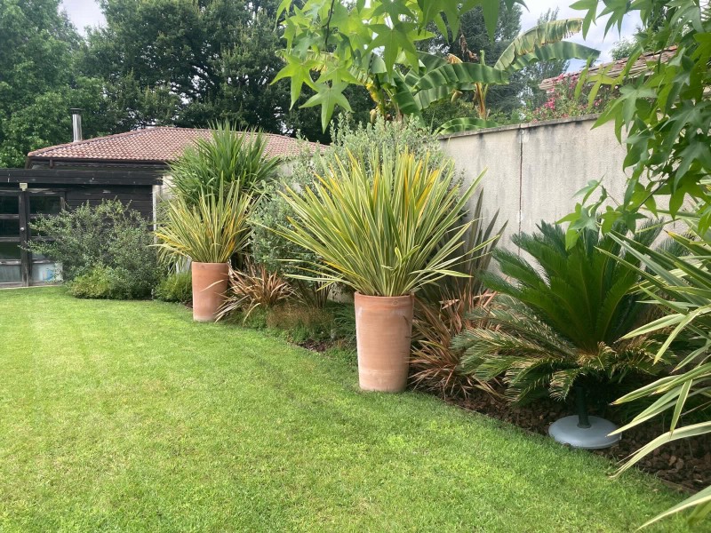 Création de massifs d’arbustes et de vivaces aux floraisons et feuillages variés à Saint-Médard-en-Jalles par Demercy Paysages