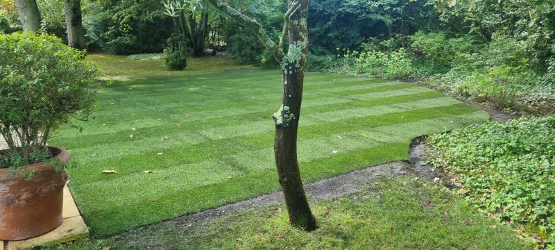 Paysagiste pour contrat annuel d’entretien de parc et jardin avec crédit d’impôt, idéal pour particuliers syndicats et copropriétés à Saint-Aubin-de-Médoc