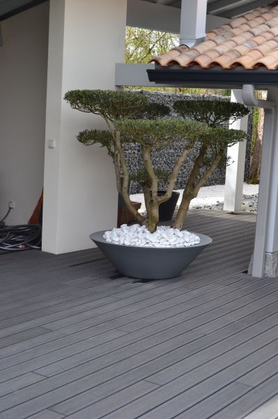 Fourniture et mise en place d'un Olivier Bonsaï dans un jardin Zen dans le Médoc