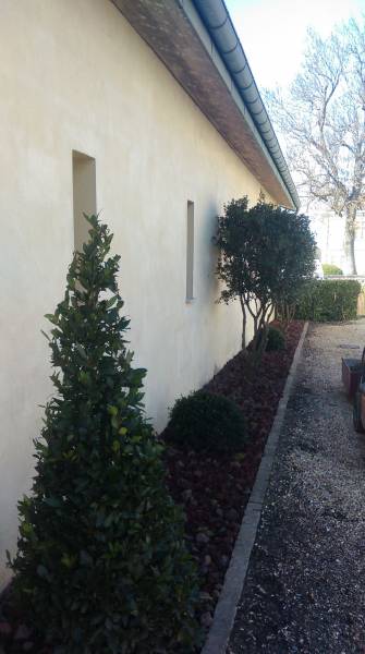 Paysagiste pour plantation d'arbres à Saint Aubin de Médoc