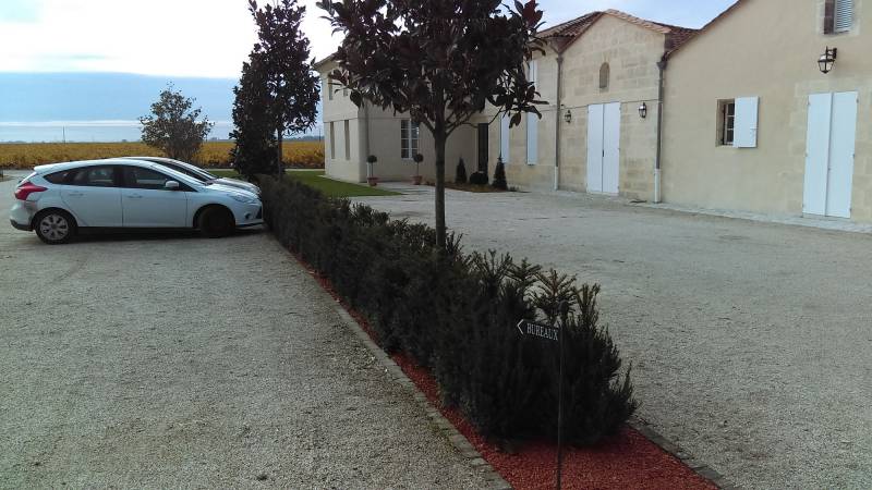 Paysagiste pour plantation de haie à Bruges