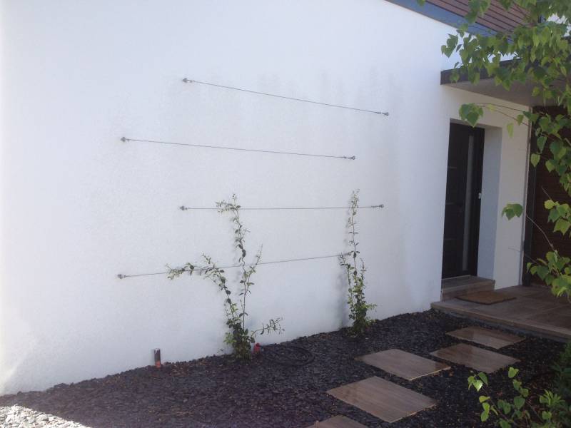 Plantation d'arbustes dans le Médoc