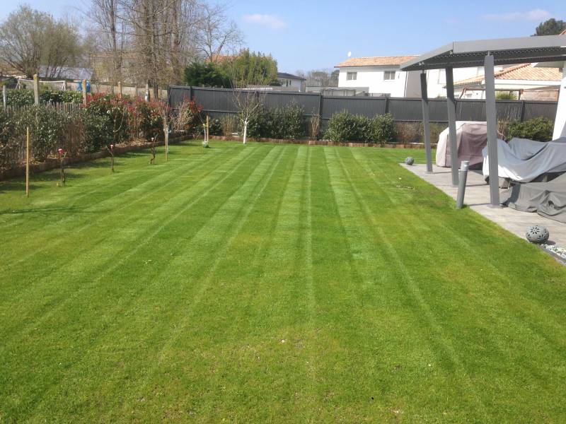 Scarification de pelouse avec crédit d'impôts à Saint Aubin de Médoc