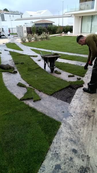 Pose de gazon en plaques à Saint-Médard-en-Jalles : une pelouse parfaite en toute saison