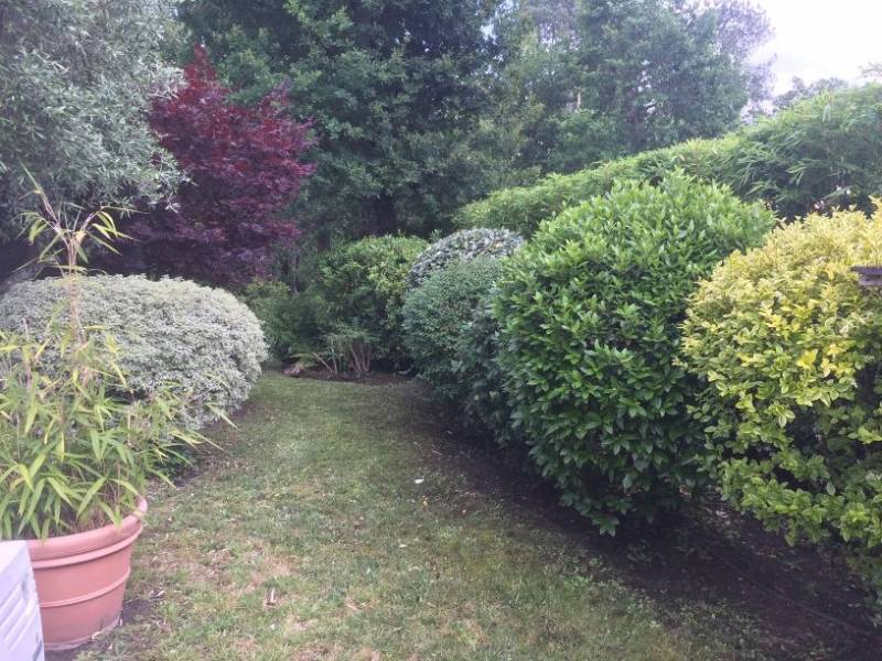 Taille d'arbustes par un professionnel à Blanquefort avec crédit d'impôts