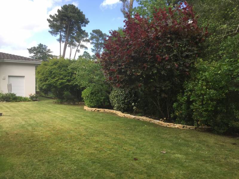 Tonte et débroussaillage à Castelnau de Médoc