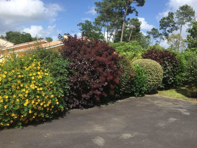 Taille de massifs et d'arbustes par un paysagiste à Le Pin Médoc avec déduction d'impôts