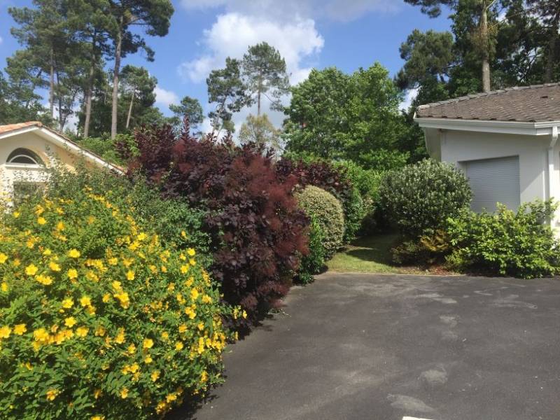 Taille d'arbustes pas un paysagiste avec crédit d'impôts à Arsac