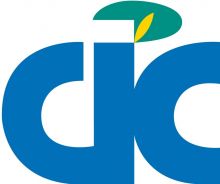 travaus d'entretien de jardin dans le Médoc